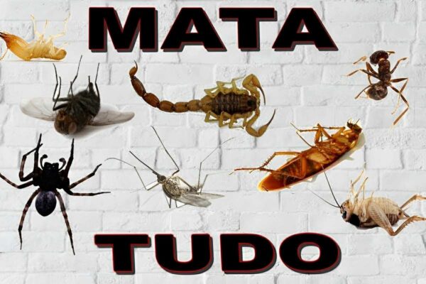 Esse é o melhor inseticida caseiro que existe fácil eficaz e natural