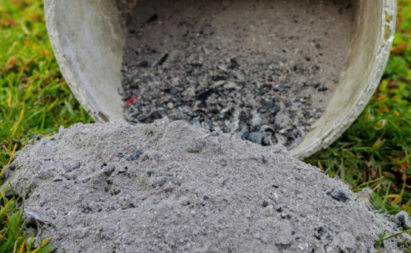 Faça sua PLANTA TOMBAR de FRUTOS quando usar esse ADUBO