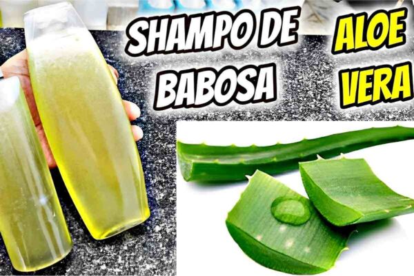 Fiz esse shampoo de babosa caseiro de 2 ingredientes e meus cabelos estão muito mais fortes e saudáveis
