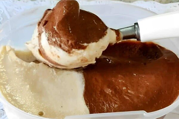 Fiz esse sorvete caseiro sem açúcar e sem gelatina com apenas 1 ingrediente que tinha em casa