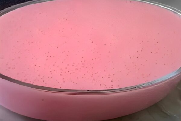 Gelatina cremosa com 2 ingredientes: uma sobremesa econômica e deliciosa para qualquer dia da semana