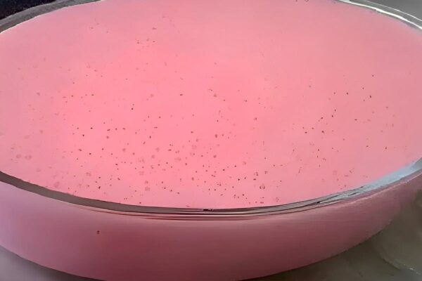 Gelatina cremosa simples e rápida é só bater os ingredientes no liquidificador e levar pra gelar