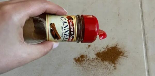 Jogue 1 pitada de canela no chão, truque que funciona há décadas