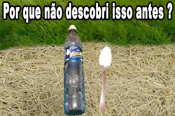 Mata mato caseiro que acaba com todas as ervas daninhas do quintal