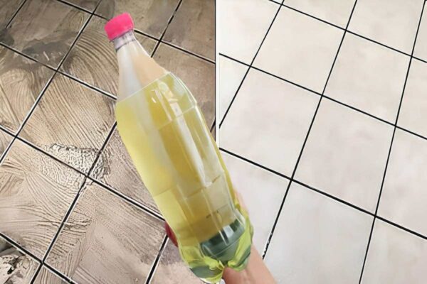 Mistura para limpar piso sujo e afastar ratos e baratas da sua casa