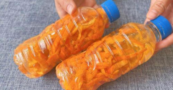 Não jogue fora as cascas de laranja, coloque-as em um frasco e adicione um pouco de vinagre: vale ouro em casa