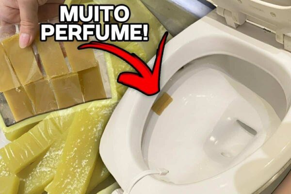 Pastilha sanitária caseira perfumada para deixar seu banheiro cheiroso e livre de germes e bactérias