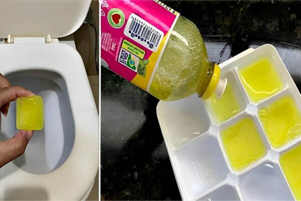Pastilhas sanitárias caseiras super econômicas feitas com apenas 2 ingredientes