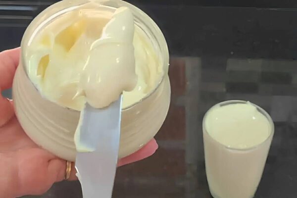 Requeijão caseiro cremoso feito com apenas 3 ingredientes muito mais saudável que o industrializado