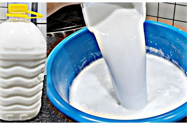 Sabão líquido caseiro sem soda feito com ingredientes que você tem em casa