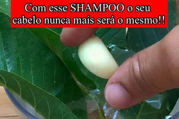 Shampoo caseiro perfeito para fazer os fios crescerem mais rápido e muito mais saudáveis