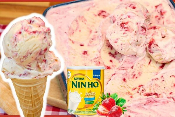 Sorvete de leite ninho com morango rápido e fácil é só bater os ingredientes uma vez só e levar pra gelar