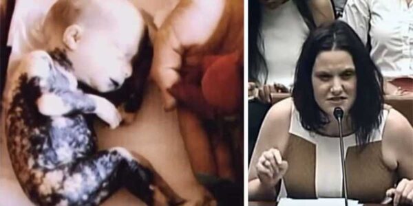 Fricassê de frango cremoso e saboroso para o almoço em família