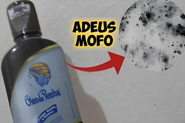 Misturinha caseira para eliminar o mofo das paredes: Receita Eficaz!