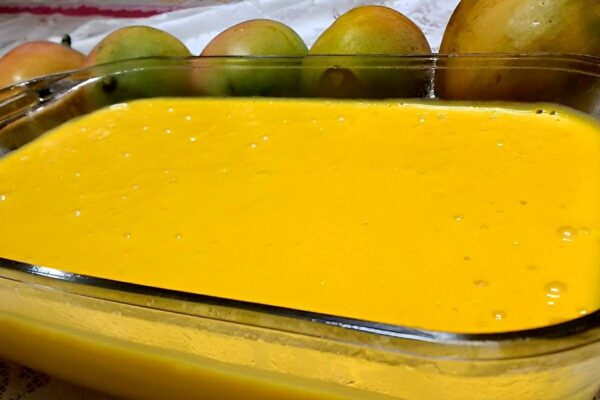 Mousse de Manga com a fruta: Sobremesa fácil, saudável e deliciosa, todos vão aprovararar