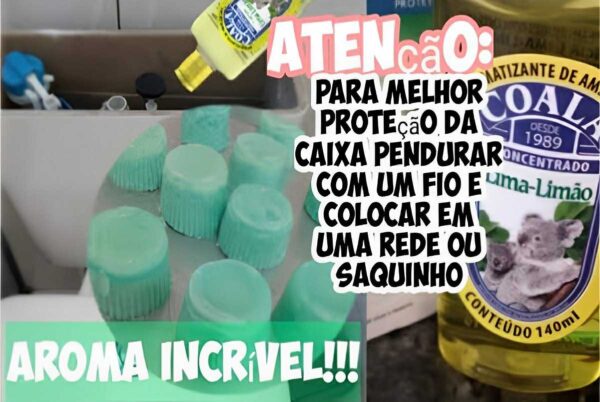 Pedra sanitária caseira de limão para caixa acoplada e vaso sanitário