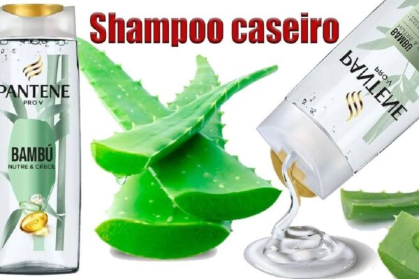 Quando você aprender a fazer shampoo caseiro de babosa não vai mais precisar gastar com produto caro no mercado