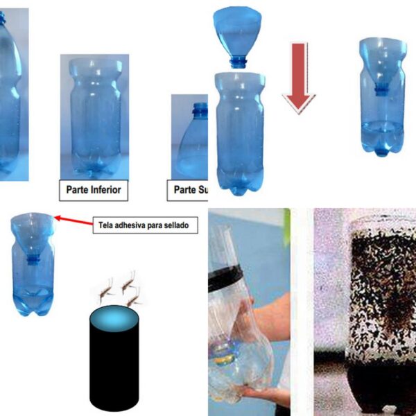 Botella atrapa mosquitos