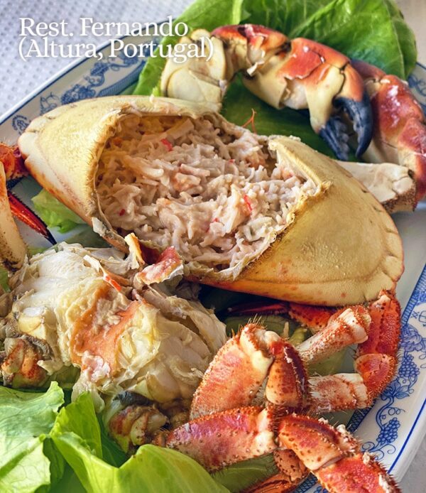 Buey de mar a la portuguesa (sapateira)