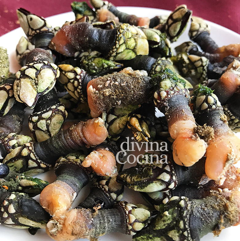 como cocer los percebes como cocer los percebes