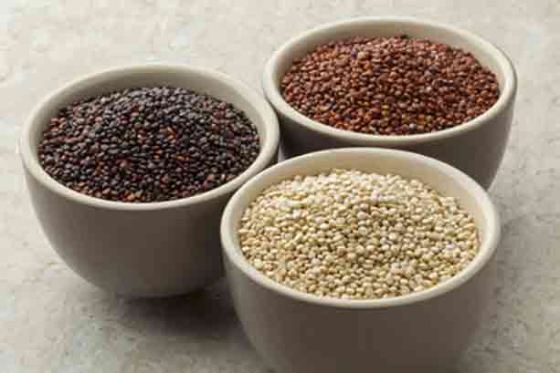 quinoa-variedades quinoa-variedades