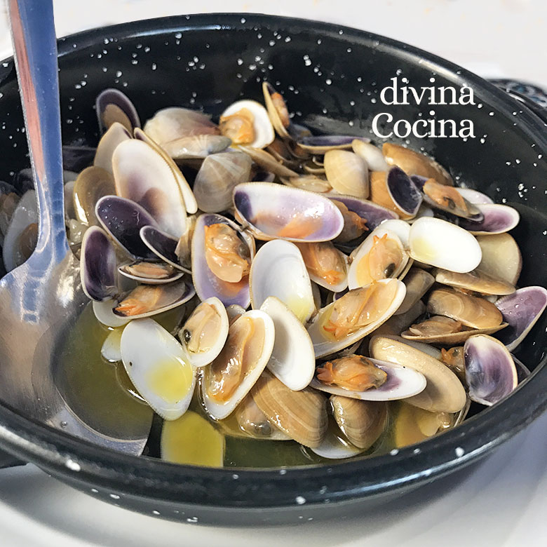 coquinas al ajillo coquinas al ajillo