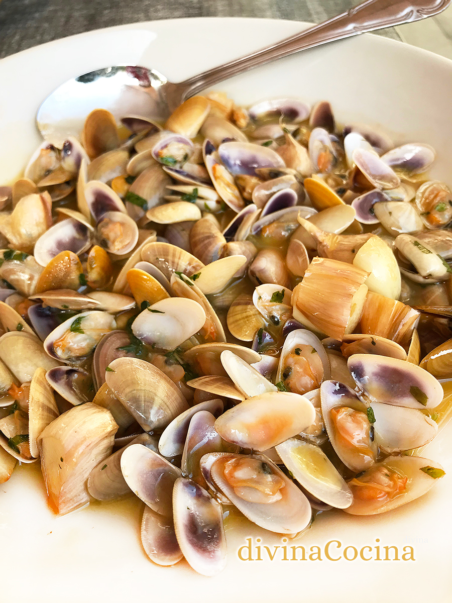 coquinas al ajillo 7 coquinas al ajillo 7