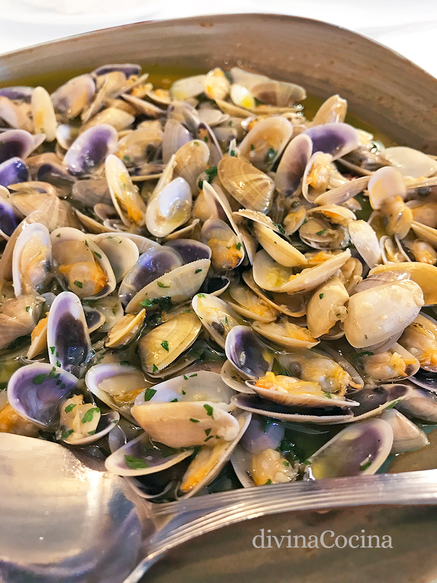 coquinas al ajillo coquinas al ajillo