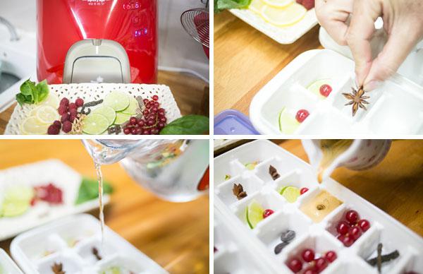 cubitos de hielo aromatizados cubitos de hielo aromatizados