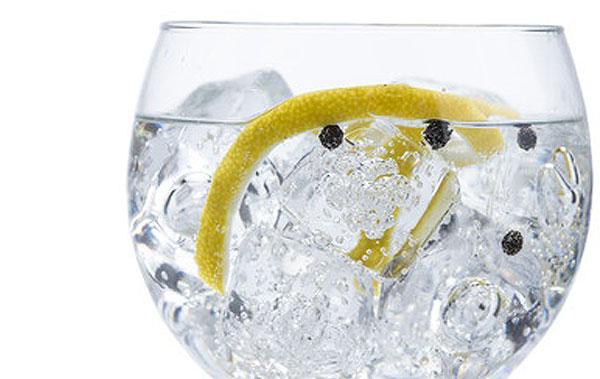 gin-tonic-en-copa gin-tonic-en-copa