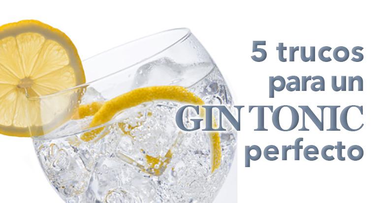 gin tonic perfecto F gin tonic perfecto F