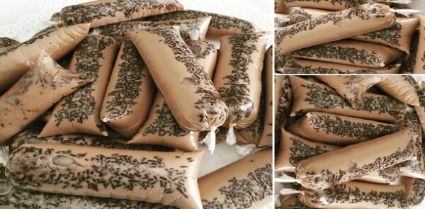 HELADITOS DE BRIGADEIRO (TRUFA BRASILEÑA), Si te gusta dinos HOLA y dale a Me Gusta MIREN…