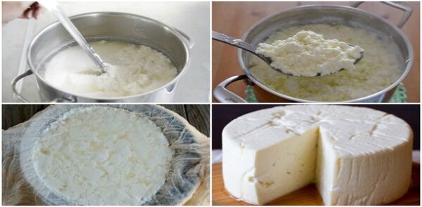 Hacer QUESO fresco en casa es tan fácil que lo harás todas las semanas! “Comparte para que se Guarde en tu Muro” MIRA …
