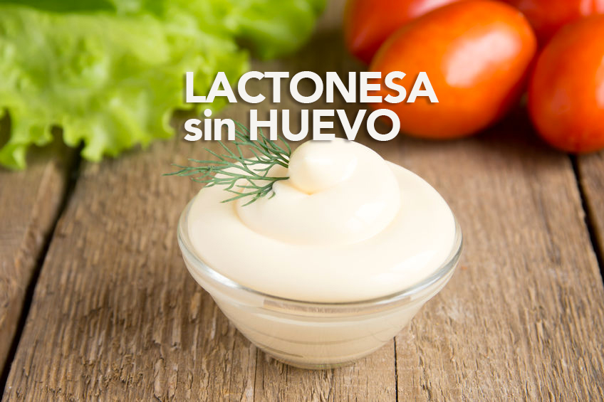 lactonesa o mayonesa sin huevo lactonesa o mayonesa sin huevo