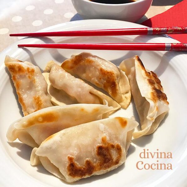 Masa de empanadillas japonesas (gyozas)