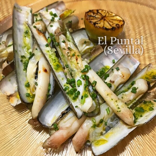 Navajas a la plancha, cómo cocinarlas y servirlas