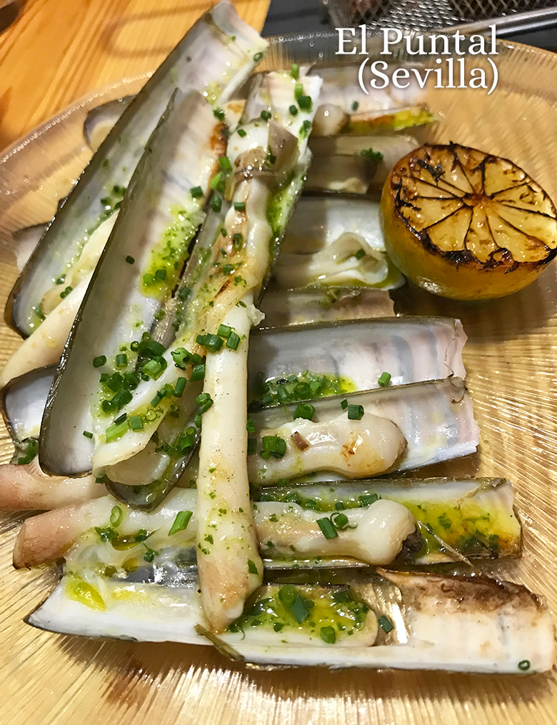 receta de navajas a la plancha navajas a la plancha 1