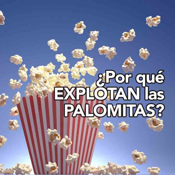 ¿Por qué explotan las palomitas de maíz?