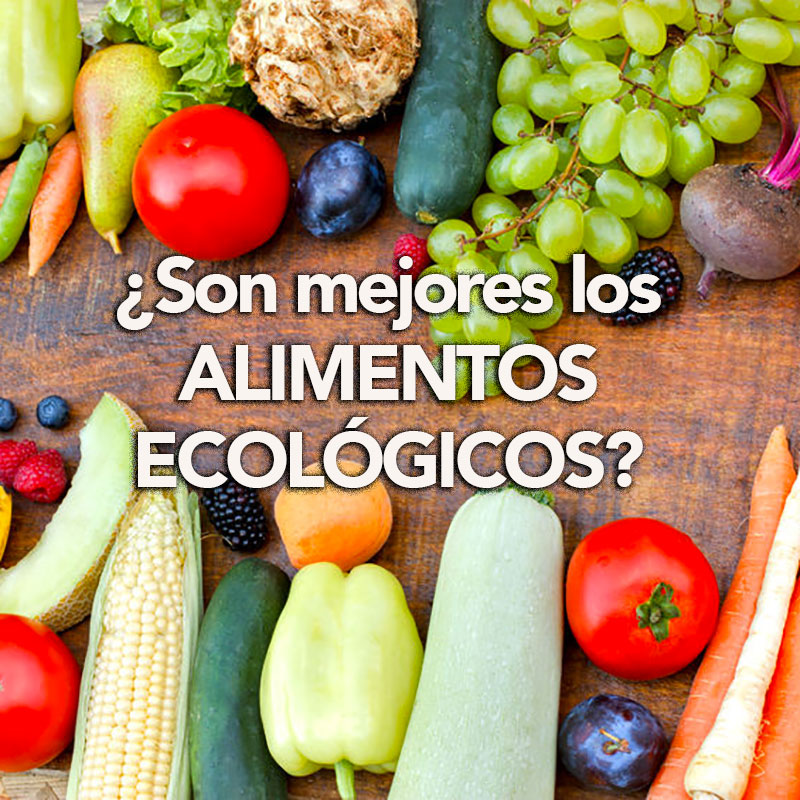 son mejores los alimentos ecologicos son mejores los alimentos ecologicos