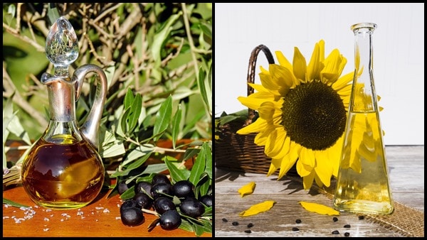 ACEITE DE OLIVA O DE GIRASOL ¿Cual es mejor y por qué?