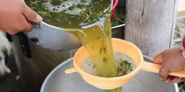 Beneficios del cilantro y el perejil