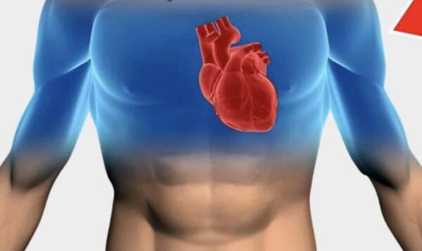 CUÍDATE DE UN INFARTO. ¿SABÍAS QUE EL AGUA ESTÁ RELACIONADA CON LOS ATAQUES CARDÍACOS?