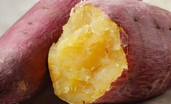 Combate La Gastritis, El Reflujo, Ardor de Estómago, Úlceras y más