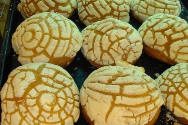 Conchas mexicanas