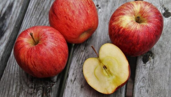 Cultivar Manzanas sin Gastar un Centavo: 10 Días para Lograrlo