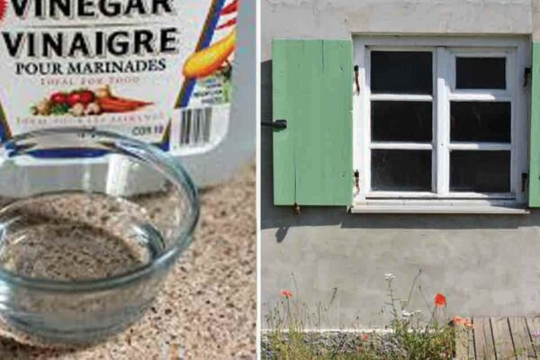 Descubre el secreto del vinagre para mantener tus ventanas impecables y libres de insectos