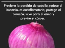 Descubre los Sorprendentes Beneficios de Consumir Cebolla a Diario