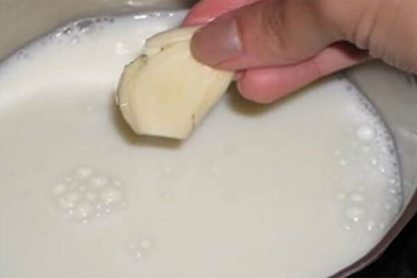 ¡Descubre los increíbles beneficios de hervir un diente de ajo con leche antes de dormir!