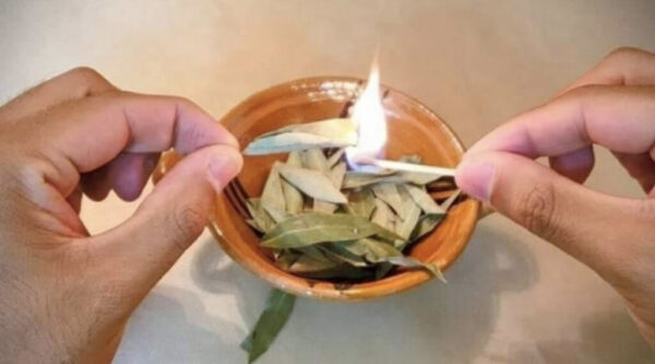 Descubre los increíbles beneficios de quemar hojas de laurel en casa