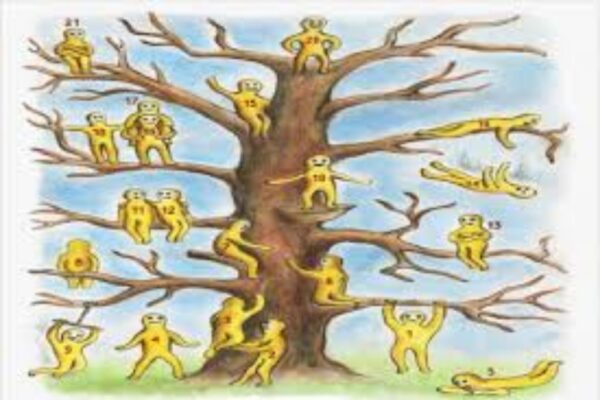 Descubre tu personalidad según tu elección en el Árbol de Blob